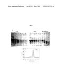HIV-1 Envelope Based Fragments diagram and image