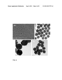 MAGNETIC NANOMATERIALS AND METHODS FOR CHEMOEMBOLISATION diagram and image