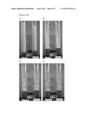 ENHANCED BEER FOAMING diagram and image