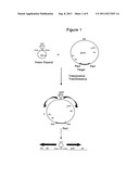 Generation of Replication Competent Viruses for Therapeutic Use diagram and image