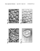 EMULSION CHEMISTRY FOR ENCAPSULATED DROPLETS diagram and image