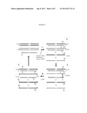 Full Cold-PCR Enrichment with Reference Blocking Sequence diagram and image