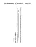 Full Cold-PCR Enrichment with Reference Blocking Sequence diagram and image