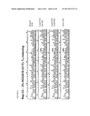 Full Cold-PCR Enrichment with Reference Blocking Sequence diagram and image