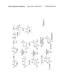 COMPOSITIONS AND METHODS FOR THE SYNTHESIS OF APPA-CONTAINING PEPTIDES diagram and image