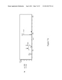 COMPOSITIONS AND METHODS FOR THE SYNTHESIS OF APPA-CONTAINING PEPTIDES diagram and image