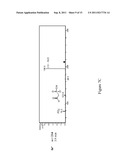 COMPOSITIONS AND METHODS FOR THE SYNTHESIS OF APPA-CONTAINING PEPTIDES diagram and image