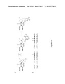 COMPOSITIONS AND METHODS FOR THE SYNTHESIS OF APPA-CONTAINING PEPTIDES diagram and image