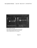 METHODS, MICROORGANISMS, AND COMPOSITIONS FOR PLANT BIOMASS PROCESSING diagram and image