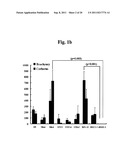 Efficient and Universal Method for Neural Differentiation of Pluripotent     Stem Cells diagram and image