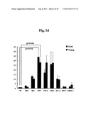 Efficient and Universal Method for Neural Differentiation of Pluripotent     Stem Cells diagram and image