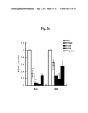 Efficient and Universal Method for Neural Differentiation of Pluripotent     Stem Cells diagram and image