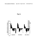 Efficient and Universal Method for Neural Differentiation of Pluripotent     Stem Cells diagram and image