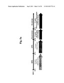 Efficient and Universal Method for Neural Differentiation of Pluripotent     Stem Cells diagram and image