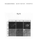 Efficient and Universal Method for Neural Differentiation of Pluripotent     Stem Cells diagram and image