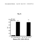 Efficient and Universal Method for Neural Differentiation of Pluripotent     Stem Cells diagram and image