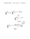 NUCLEOTIDE TRIPHOSPHATE WITH AN ELECTROACTIVE LABEL CONJUGATED TO THE     GAMMA PHOSPHATE diagram and image