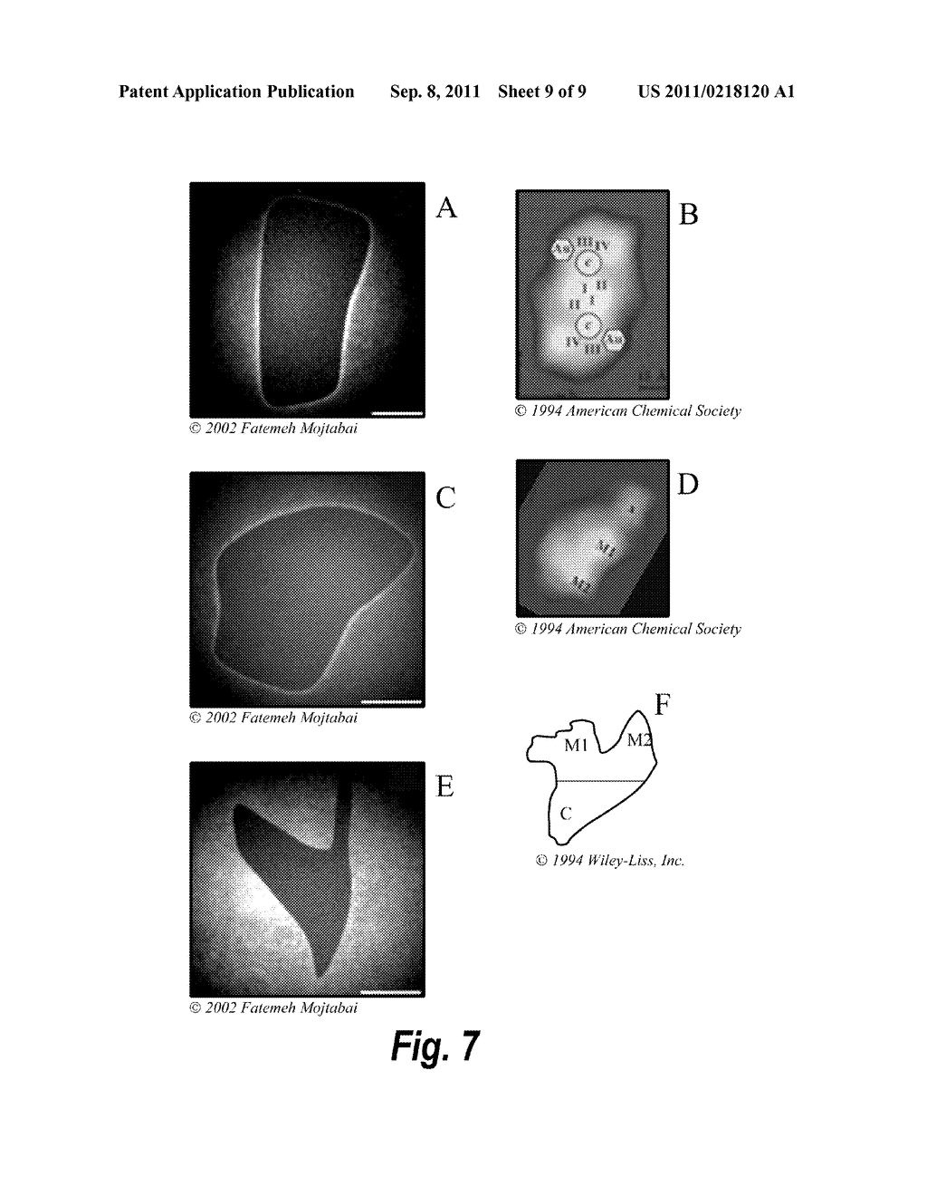 ORDERED TWO- AND THREE-DIMENSIONAL STRUCTURES OF AMPHIPHILIC MOLECULES - diagram, schematic, and image 10