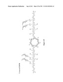 MOLECULAR ENTITIES FOR BINDING, STABILIZATION AND CELLULAR DELIVERY OF     NEGATIVELY CHARGED MOLECULES diagram and image