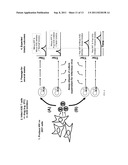 DNA CYTOSINE DEAMINASE INHIBITORS diagram and image