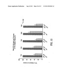 Pirfenidone/Toll-Like Receptor (TLR) Agonist Compounds and Methods of     Treating Neutropenia diagram and image