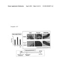 TREHALOSE COMPOUND, METHOD FOR PRODUCING SAME, AND PHARMACEUTICAL PRODUCT     CONTAINING THE COMPOUND diagram and image