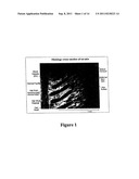 TOPICAL VASOCONSTRICTOR PREPARATIONS AND METHODS FOR PROTECTING CELLS     DURING CANCER CHEMOTHERAPY AND RADIOTHERAPY diagram and image