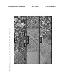 PROCESS FOR THE PREPARATION OF AN UNSUPPORTED, SOLID OLEFIN POLYMERISATION     CATALYST AND USE IN POLYMERISATION OF OLEFINS diagram and image