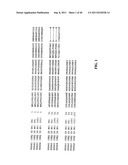 TREATMENT AND PROPHYLAXIS OF AMYLOIDOSIS diagram and image