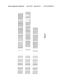 TREATMENT AND PROPHYLAXIS OF AMYLOIDOSIS diagram and image