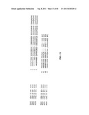 TREATMENT AND PROPHYLAXIS OF AMYLOIDOSIS diagram and image