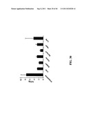 TREATMENT AND PROPHYLAXIS OF AMYLOIDOSIS diagram and image