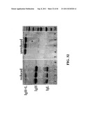 TREATMENT AND PROPHYLAXIS OF AMYLOIDOSIS diagram and image