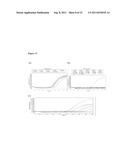 EIF2GAMMA GENE AS A DIAGNOSTIC TARGET FOR THE IDENTIFICATION OF FUNGAL AND     YEAST SPECIES diagram and image