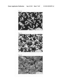 Crystalline polymorph of biopterin and production method thereof diagram and image