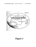 POLYPEPTIDES AND METHODS FOR PRODUCING TRIACYLGLYCEROLS COMPRISING     MODIFIED FATTY ACIDS diagram and image