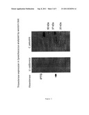 Photoautotrophic Adipogenesis Technology (Phat) diagram and image