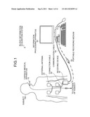 BODY-INSERTABLE APPARATUS AND IN-VIVO INFORMATION ACQUISITION SYSTEM diagram and image