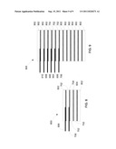 SYSTEM AND METHOD FOR MANUFACTURING COMPOSITE WOOD PRODUCTS diagram and image