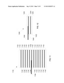 SYSTEM AND METHOD FOR MANUFACTURING COMPOSITE WOOD PRODUCTS diagram and image