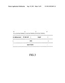 METHOD FOR REPORTING QOS CONTROL-RELATED INFORMATION IN NETWORK AND     NETWORK ENTITY THEREFOR diagram and image