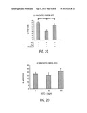 Mesenchymal stem cells that express increased amounts of anti-apoptotic     proteins diagram and image