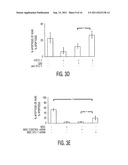 Mesenchymal stem cells that express increased amounts of anti-apoptotic     proteins diagram and image