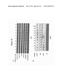 COMPOSITIONS INCLUDING TRICIRIBINE AND METHODS OF USE THEREOF diagram and image