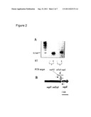 Nontypeable Haemophilus Influenzae Virulence Factors diagram and image