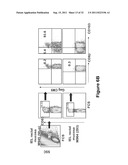 HIV/SIV VACCINES FOR THE GENERATION OF MUCOSAL AND SYSTEMIC IMMUNITY diagram and image