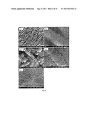 CATIONIC CORE-SHELL PEPTIDE NONOPARTICLES diagram and image