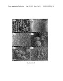 CATIONIC CORE-SHELL PEPTIDE NONOPARTICLES diagram and image