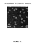 BLOCK COPOLYMERS AND USES THEREOF diagram and image