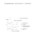 HYDROGEL FORMULATIONS diagram and image